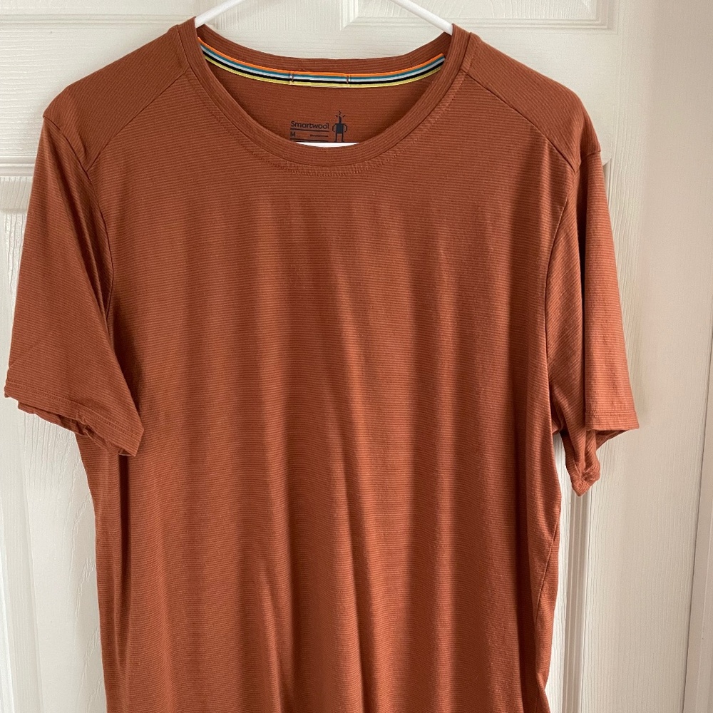 Smartwool Merino 150 t-shirt in cardamom